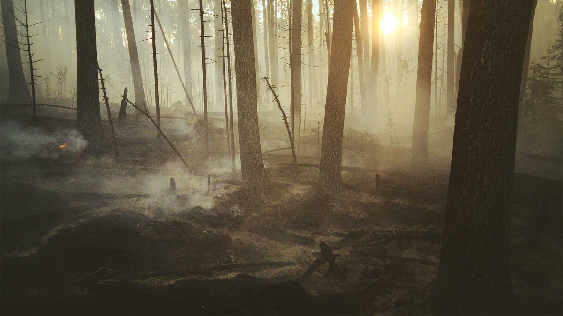 Global Emergency Response in northern Ontario: wildfire relief for Indigenous communities