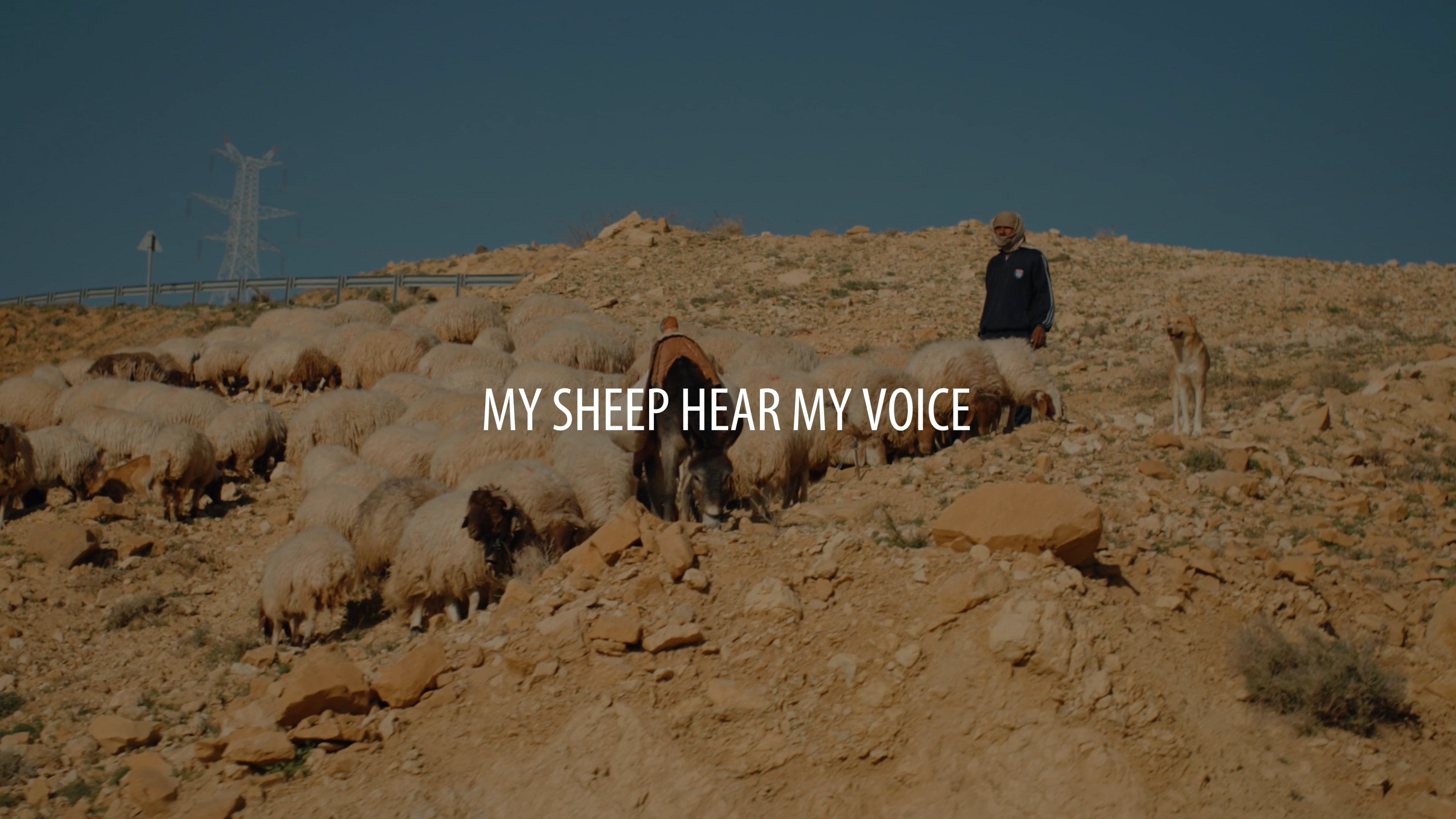 General Assembly Promo