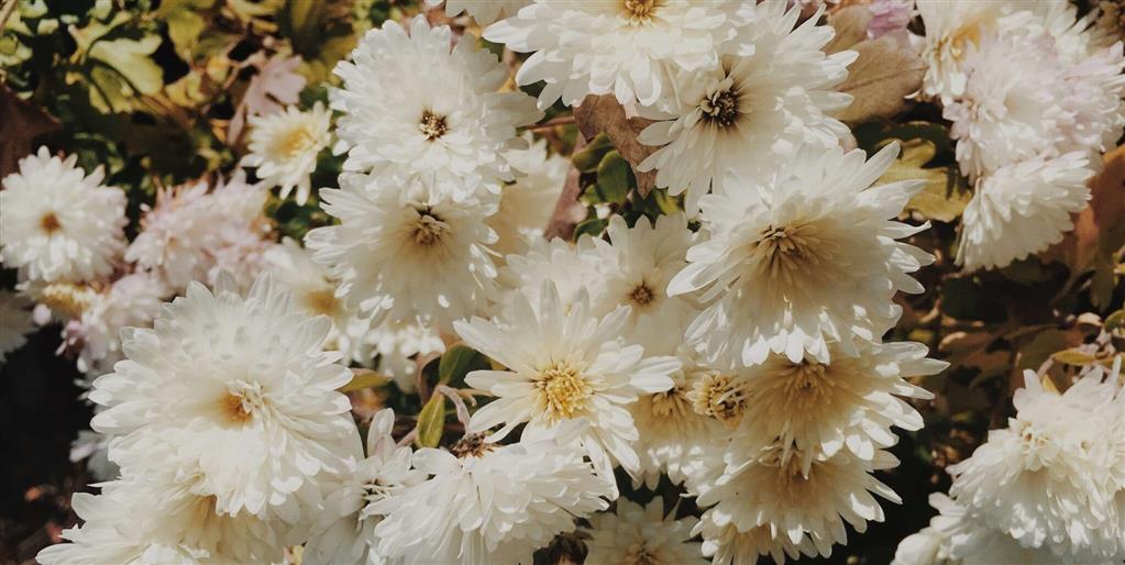 Remembering Ethel Jean Moorehouse