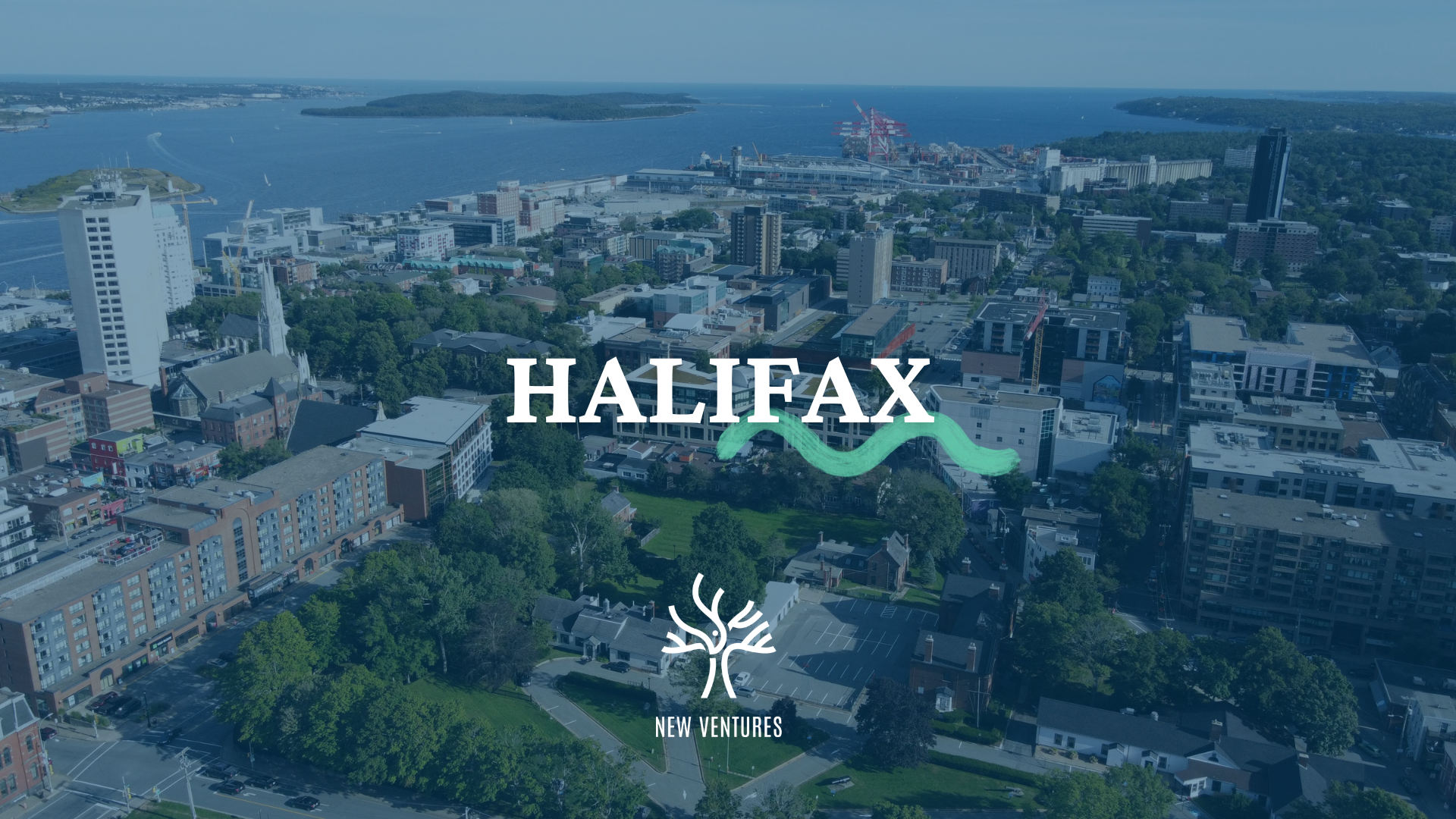 Celebrating a New Venture Landing in Halifax